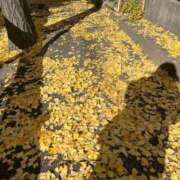 ヒメ日記 2025/11/26 15:10 投稿 あやな 熟女の風俗最終章 池袋店