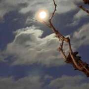 ヒメ日記 2026/02/04 07:10 投稿 あやな 熟女の風俗最終章 池袋店