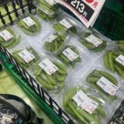 ヒメ日記 2026/03/21 02:17 投稿 あやな 熟女の風俗最終章 池袋店