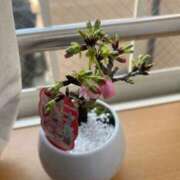 ヒメ日記 2026/03/27 09:55 投稿 あやな 熟女の風俗最終章 池袋店