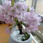 ヒメ日記 2026/04/01 16:20 投稿 あやな 熟女の風俗最終章 池袋店