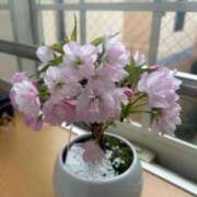 ヒメ日記 2026/04/02 12:03 投稿 あやな 熟女の風俗最終章 池袋店