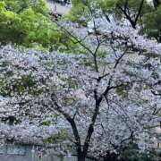 ヒメ日記 2026/04/05 15:32 投稿 あやな 熟女の風俗最終章 池袋店