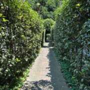 あやな 池袋の森🌳で。 熟女の風俗最終章 池袋店