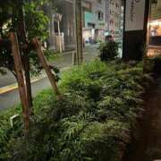 ヒメ日記 2026/09/11 02:22 投稿 あやな 熟女の風俗最終章 池袋店