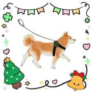 ヒメ日記 2024/12/20 15:47 投稿 松風　凛 魅惑の官能アロマエステ　Eureka！八王子 ～エウレカ！～