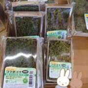 ヒメ日記 2025/01/18 17:45 投稿 松風　凛 魅惑の官能アロマエステ　Eureka！八王子 ～エウレカ！～