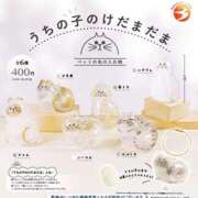 ヒメ日記 2025/01/31 19:14 投稿 松風　凛 魅惑の官能アロマエステ　Eureka！八王子 ～エウレカ！～