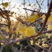 ヒメ日記 2025/02/04 18:53 投稿 松風　凛 魅惑の官能アロマエステ　Eureka！八王子 ～エウレカ！～