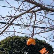 ヒメ日記 2025/02/20 16:05 投稿 松風　凛 魅惑の官能アロマエステ　Eureka！八王子 ～エウレカ！～