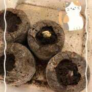 ヒメ日記 2025/03/06 13:47 投稿 松風　凛 魅惑の官能アロマエステ　Eureka！八王子 ～エウレカ！～