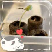 ヒメ日記 2025/03/12 21:05 投稿 松風　凛 魅惑の官能アロマエステ　Eureka！八王子 ～エウレカ！～