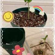 ヒメ日記 2025/04/02 14:43 投稿 松風　凛 魅惑の官能アロマエステ　Eureka！八王子 ～エウレカ！～