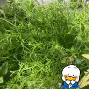 ヒメ日記 2025/05/02 13:45 投稿 松風　凛 魅惑の官能アロマエステ　Eureka！八王子 ～エウレカ！～