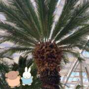 ヒメ日記 2025/05/05 16:05 投稿 松風　凛 魅惑の官能アロマエステ　Eureka！八王子 ～エウレカ！～