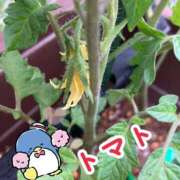 ヒメ日記 2025/05/22 19:18 投稿 松風　凛 魅惑の官能アロマエステ　Eureka！八王子 ～エウレカ！～