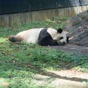 ヒメ日記 2025/05/29 20:50 投稿 松風　凛 魅惑の官能アロマエステ　Eureka！八王子 ～エウレカ！～