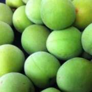 ヒメ日記 2025/06/04 21:04 投稿 松風　凛 魅惑の官能アロマエステ　Eureka！八王子 ～エウレカ！～