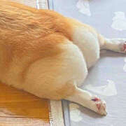 ヒメ日記 2025/06/08 15:47 投稿 松風　凛 魅惑の官能アロマエステ　Eureka！八王子 ～エウレカ！～