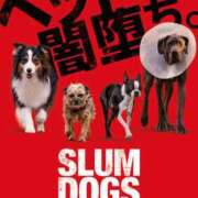 ヒメ日記 2025/06/12 23:53 投稿 松風　凛 魅惑の官能アロマエステ　Eureka！八王子 ～エウレカ！～