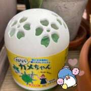 松風　凛 カメ 魅惑の官能アロマエステ　Eureka！八王子 ～エウレカ！～