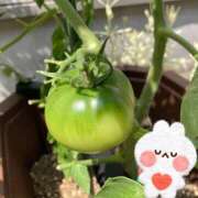 ヒメ日記 2025/06/24 22:48 投稿 松風　凛 魅惑の官能アロマエステ　Eureka！八王子 ～エウレカ！～