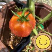 ヒメ日記 2025/06/28 18:11 投稿 松風　凛 魅惑の官能アロマエステ　Eureka！八王子 ～エウレカ！～