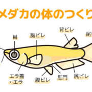 ヒメ日記 2025/08/20 20:54 投稿 松風　凛 魅惑の官能アロマエステ　Eureka！八王子 ～エウレカ！～