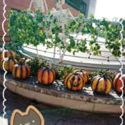 ヒメ日記 2025/10/01 19:18 投稿 松風　凛 魅惑の官能アロマエステ　Eureka！八王子 ～エウレカ！～