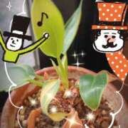 ヒメ日記 2025/12/13 12:59 投稿 松風　凛 魅惑の官能アロマエステ　Eureka！八王子 ～エウレカ！～