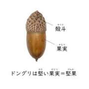 ヒメ日記 2026/01/14 18:55 投稿 松風　凛 魅惑の官能アロマエステ　Eureka！八王子 ～エウレカ！～