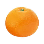 ヒメ日記 2026/01/18 00:10 投稿 松風　凛 魅惑の官能アロマエステ　Eureka！八王子 ～エウレカ！～