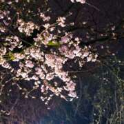 ヒメ日記 2026/03/05 16:46 投稿 松風　凛 魅惑の官能アロマエステ　Eureka！八王子 ～エウレカ！～