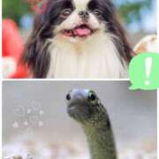 ヒメ日記 2026/04/02 13:56 投稿 松風　凛 魅惑の官能アロマエステ　Eureka！八王子 ～エウレカ！～