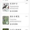 松風　凛 魅惑の官能アロマエステ　Eureka！八王子 ～エウレカ！～（八王子/デリヘル）