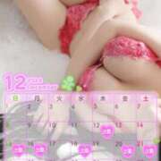 ヒメ日記 2024/12/10 14:07 投稿 まこ 男爵