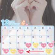 ヒメ日記 2024/12/17 13:03 投稿 まこ 男爵