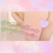 ヒメ日記 2024/12/20 17:14 投稿 まこ 男爵