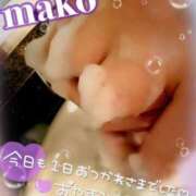 ヒメ日記 2025/02/23 23:31 投稿 まこ 男爵