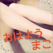 ヒメ日記 2025/05/06 13:04 投稿 まこ 男爵