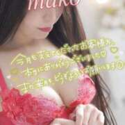 ヒメ日記 2025/05/31 18:15 投稿 まこ 男爵