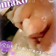 ヒメ日記 2025/06/13 23:23 投稿 まこ 男爵