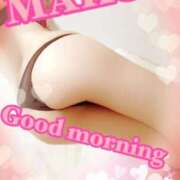 ヒメ日記 2025/07/18 07:57 投稿 まこ 男爵