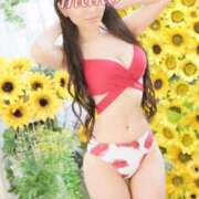 ヒメ日記 2025/08/01 12:53 投稿 まこ 男爵