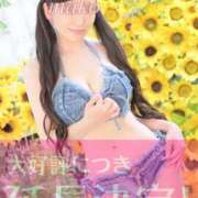 ヒメ日記 2025/08/23 13:53 投稿 まこ 男爵