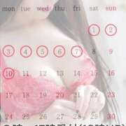 ヒメ日記 2025/10/29 13:05 投稿 まこ 男爵