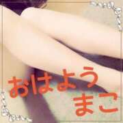 ヒメ日記 2025/11/08 09:33 投稿 まこ 男爵