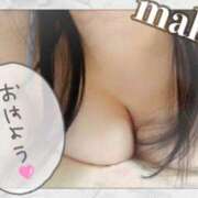 ヒメ日記 2025/11/18 07:46 投稿 まこ 男爵