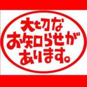 ヒメ日記 2025/11/18 19:15 投稿 まこ 男爵