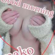 ヒメ日記 2025/12/19 07:50 投稿 まこ 男爵